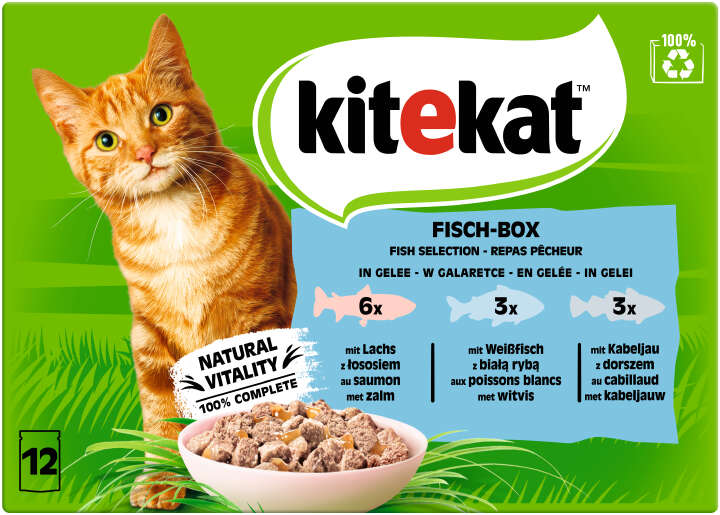 Kitekat Katzen-Nassfutter Fisch-Box in Gelee 12x85g